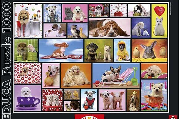 Puzzle Moments partagés
