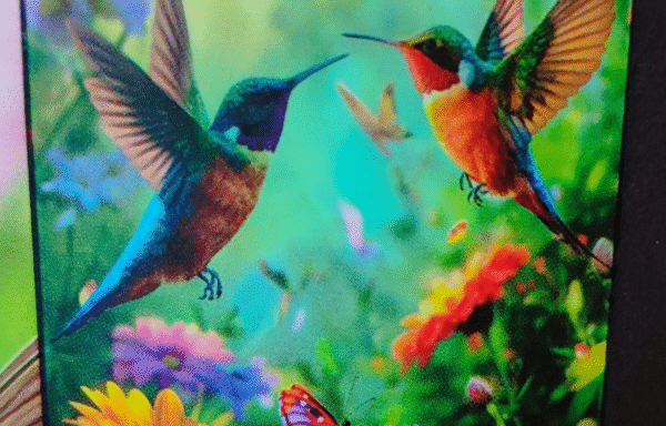 Puzzle « Colibris – boite cylindre »