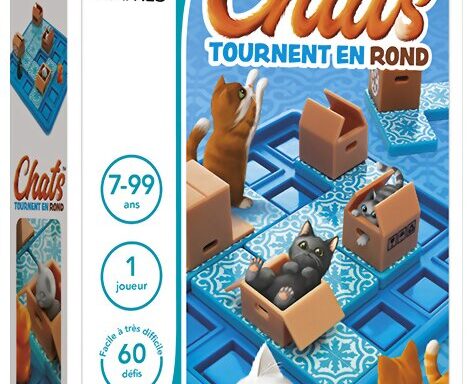 Chats tournent en rond